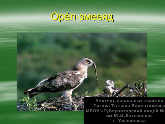 Учитель начальных классов Сизова Татьяна Валентиновна МБОУ «Губернаторский лицей №101  им Ю.И.Латышева» г. Ульяновска