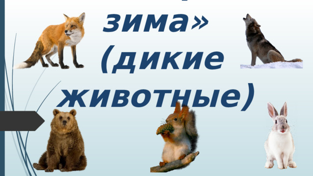«Скоро зима»  (дикие животные)