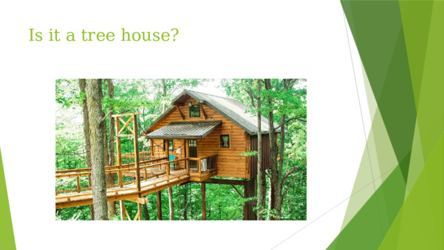 Is it a tree house?