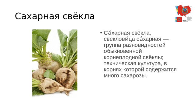 Сахарная свёкла