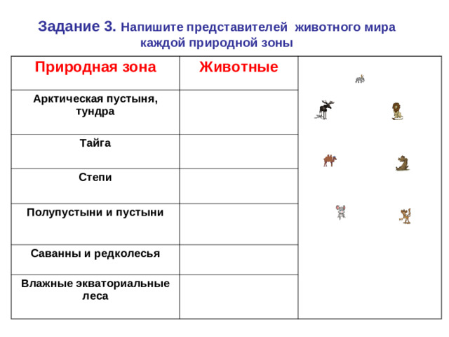 Задание 3. Напишите представителей животного мира каждой природной зоны Природная зона Животные Арктическая пустыня, тундра Тайга Степи Полупустыни и пустыни  Саванны и редколесья Влажные экваториальные леса