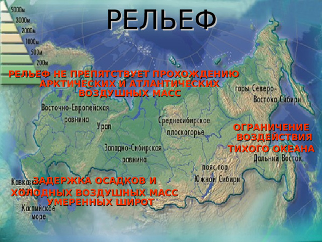 РЕЛЬЕФ РЕЛЬЕФ НЕ ПРЕПЯТСТВУЕТ ПРОХОЖДЕНИЮ АРКТИЧЕСКИХ И АТЛАНТИЧЕСКИХ ВОЗДУШНЫХ МАСС ОГРАНИЧЕНИЕ ВОЗДЕЙСТВИЯ ТИХОГО ОКЕАНА ЗАДЕРЖКА ОСАДКОВ И ХОЛОДНЫХ ВОЗДУШНЫХ МАСС УМЕРЕННЫХ ШИРОТ