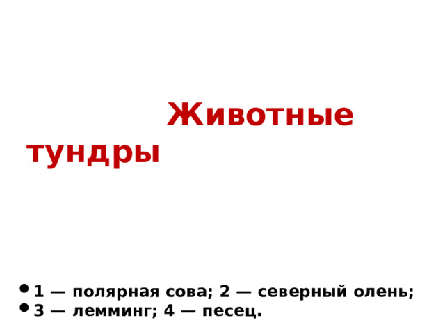 Животные тундры