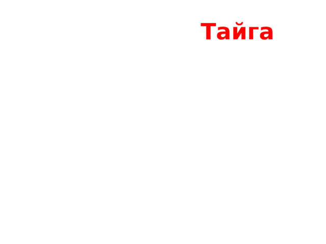 Тайга