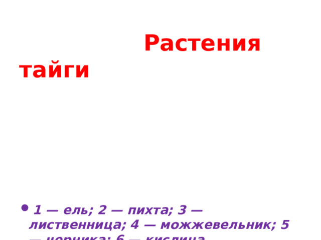 Растения тайги