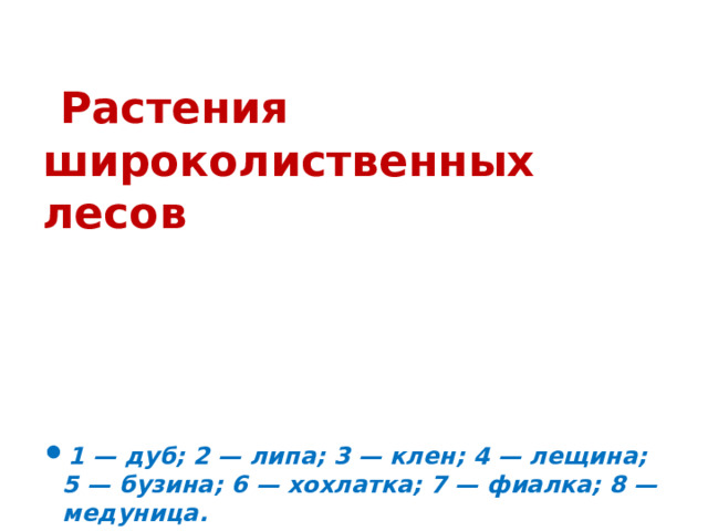 Растения широколиственных лесов