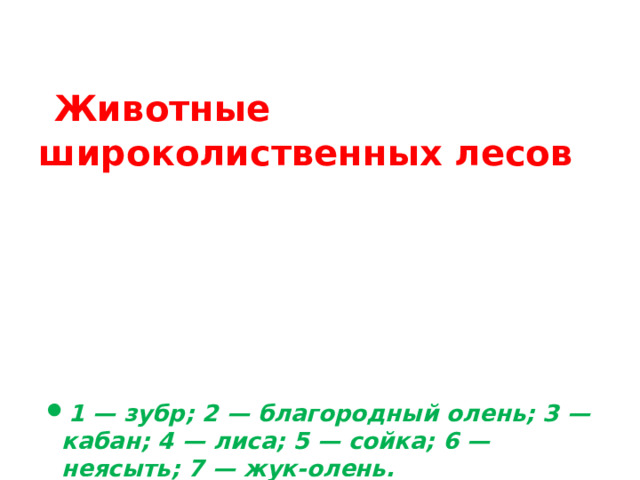 Животные широколиственных лесов