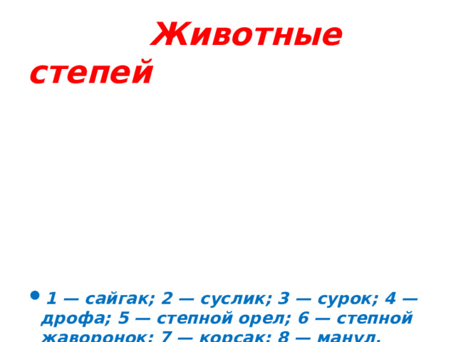 Животные степей