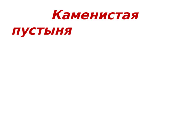 Каменистая пустыня