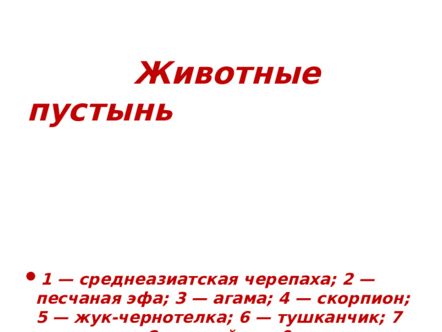 Животные пустынь