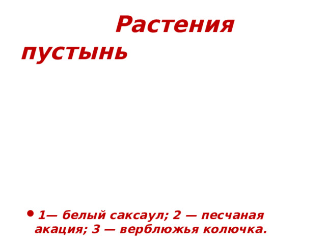 Растения пустынь