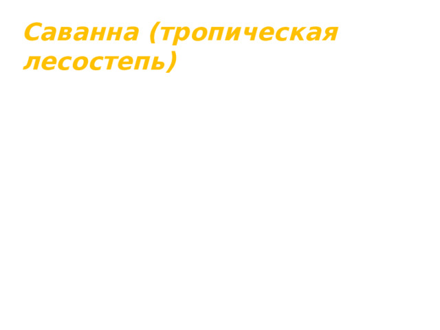 Саванна (тропическая лесостепь)