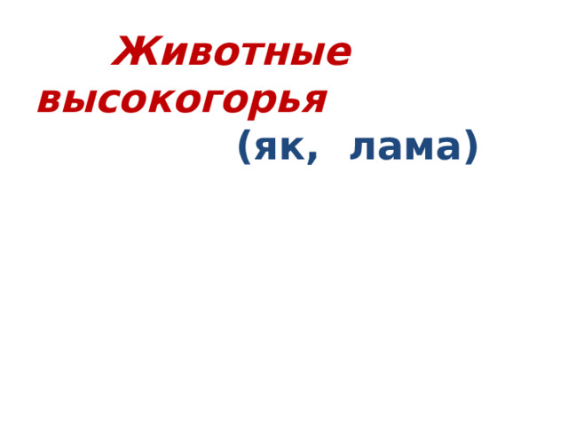 Животные высокогорья  (як, лама)