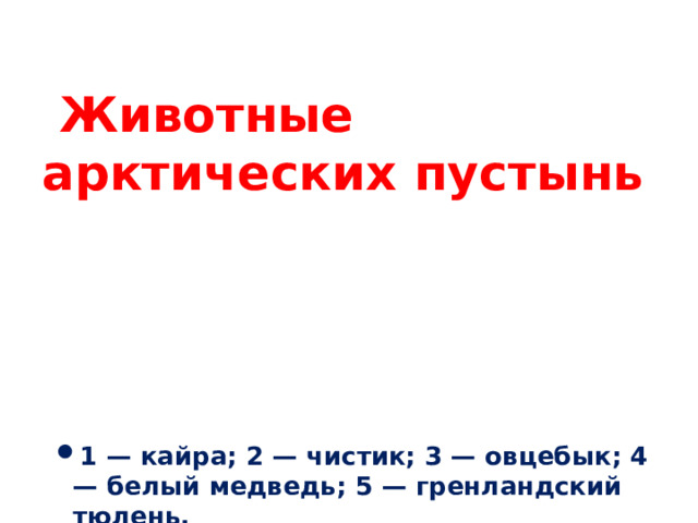 Животные арктических пустынь