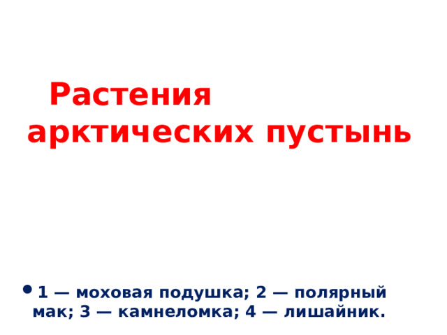 Растения арктических пустынь