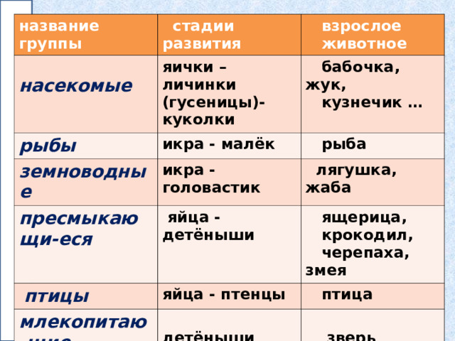название группы  насекомые  стадии развития яички – личинки (гусеницы)- куколки рыбы  взрослое  животное земноводные икра - малёк  бабочка, жук,  кузнечик … икра - головастик  рыба пресмыкающи-еся  лягушка, жаба  яйца - детёныши  птицы яйца - птенцы млекопитаю-щие  ящерица,  крокодил,  черепаха, змея  детёныши  птица   зверь