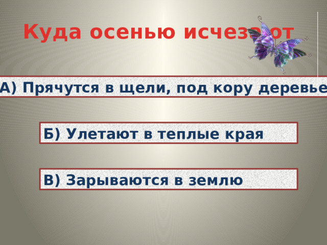 Куда осенью исчезают А) Прячутся в щели, под кору деревьев Б) Улетают в теплые края В) Зарываются в землю