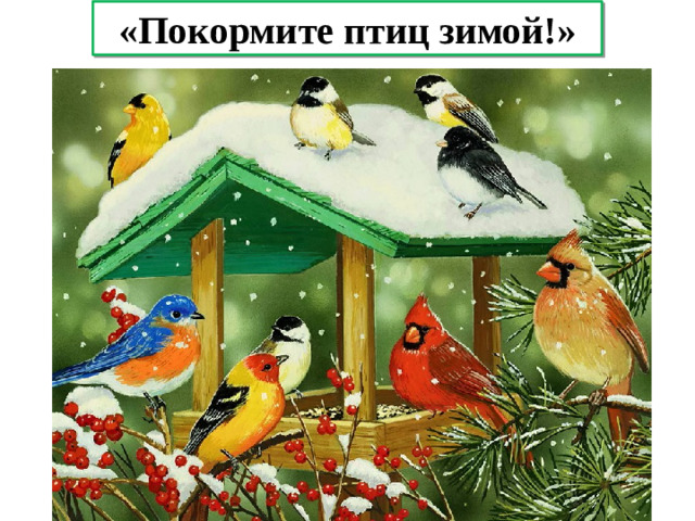 «Покормите птиц зимой!»