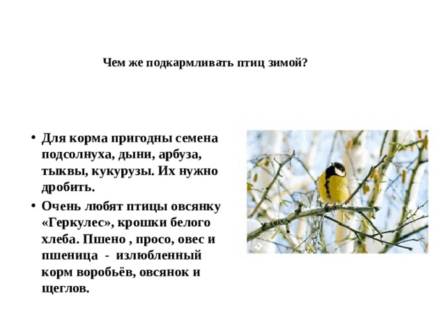 Чем же подкармливать птиц зимой?