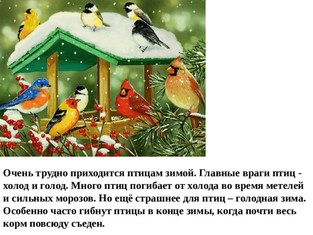 Очень трудно приходится птицам зимой. Главные враги птиц - холод и голод. Много птиц погибает от холода во время метелей и сильных морозов. Но ещё страшнее для птиц – голодная зима. Особенно часто гибнут птицы в конце зимы, когда почти весь корм повсюду съеден.