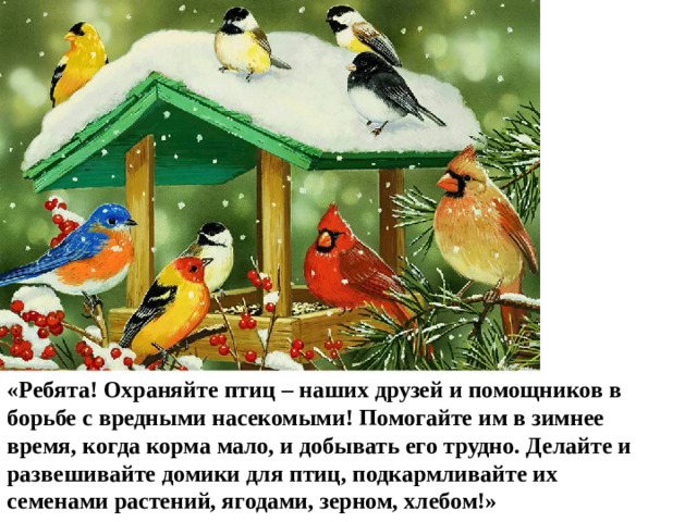 «Ребята! Охраняйте птиц – наших друзей и помощников в борьбе с вредными насекомыми! Помогайте им в зимнее время, когда корма мало, и добывать его трудно. Делайте и развешивайте домики для птиц, подкармливайте их семенами растений, ягодами, зерном, хлебом!»