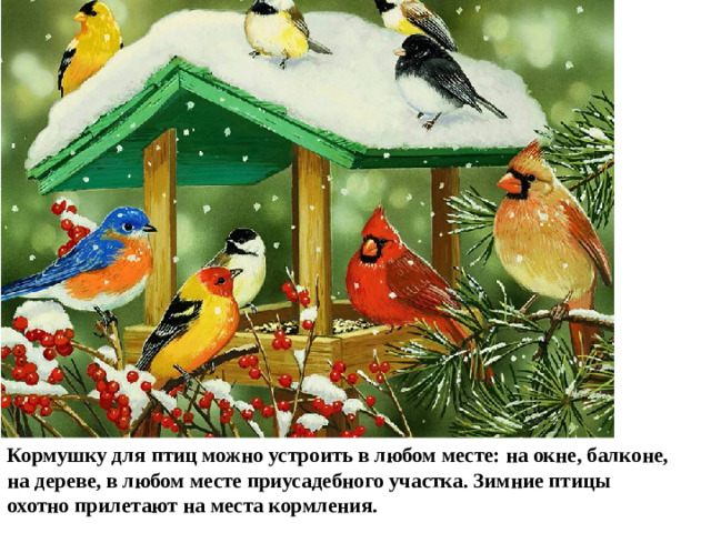 Кормушку для птиц можно устроить в любом месте: на окне, балконе, на дереве, в любом месте приусадебного участка. Зимние птицы охотно прилетают на места кормления.