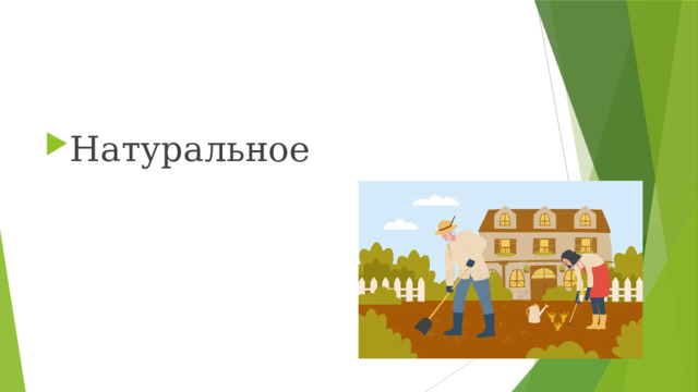 Натуральное