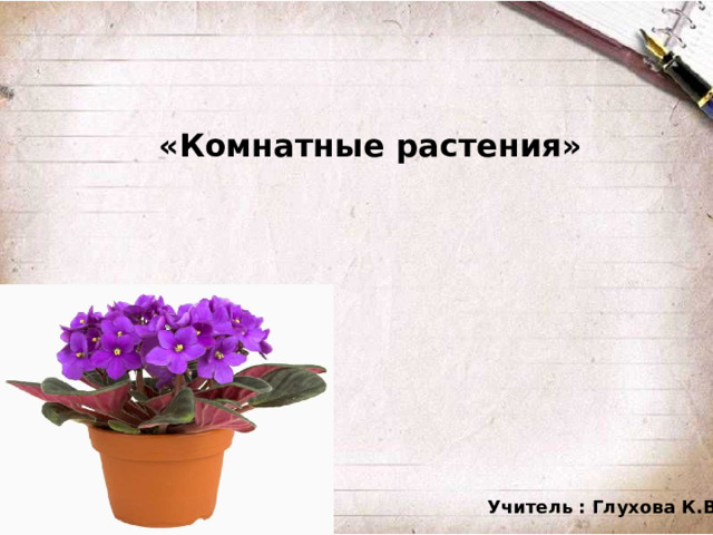 «Комнатные растения» Учитель : Глухова К.В.
