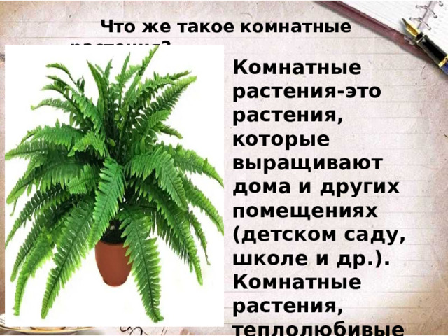 Что же такое комнатные растения? Комнатные растения-это растения, которые выращивают дома и других помещениях (детском саду, школе и др.). Комнатные растения, теплолюбивые растения, поэтому на улице они бы погибли.