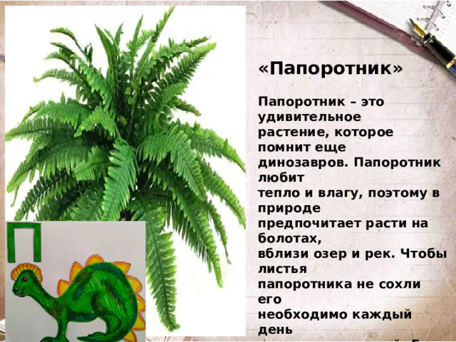«Папоротник»  Папоротник – это удивительное растение, которое помнит еще динозавров. Папоротник любит тепло и влагу, поэтому в природе предпочитает расти на болотах, вблизи озер и рек. Чтобы листья папоротника не сохли его необходимо каждый день опрыскивать водой. Есть легенда о папоротнике… Однажды летом папоротник может зацвести и кто найдет его цветок, тот сможет загадать желание. Папоротник широко используют в медицине, так как это растение содержит много полезных веществ.