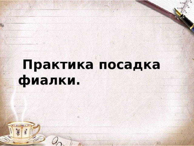 Практика посадка фиалки.