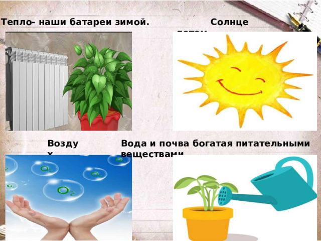 Тепло- наши батареи зимой.  Солнце летом . Воздух. Вода и почва богатая питательными веществами.