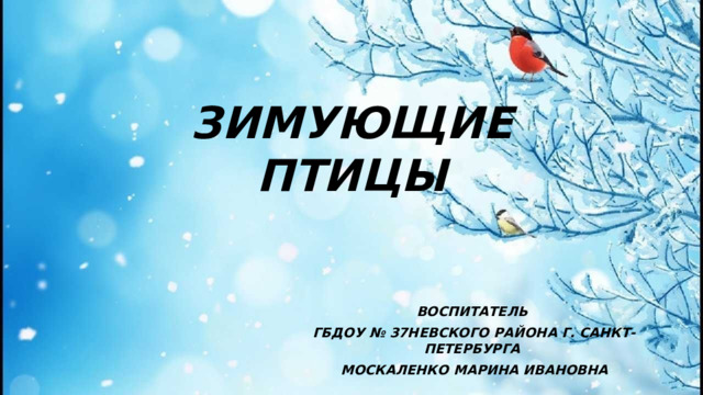 ЗИМУЮЩИЕ ПТИЦЫ ВОСПИТАТЕЛЬ ГБДОУ № 37НЕВСКОГО РАЙОНА Г. САНКТ-ПЕТЕРБУРГА МОСКАЛЕНКО МАРИНА ИВАНОВНА