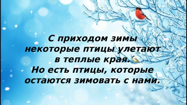 С приходом зимы некоторые птицы улетают в теплые края.  Но есть птицы, которые остаются зимовать с нами.
