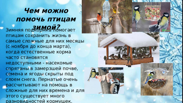 Чем можно помочь птицам зимой? Зимняя подкормка помогает птицам сохранить жизнь в самые сложные для них месяцы (с ноября до конца марта), когда естественные корма часто становятся недоступными - насекомые спрятаны в замерзшей почве, семена и ягоды скрыты под слоем снега. Пернатые очень рассчитывают на помощь в сложные для них времена и для этого существует много разновидностей кормушек.