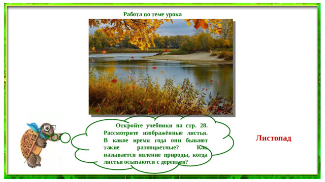 Работа по теме урока   Откройте учебники на стр. 28. Рассмотрите изображённые листья. В какое время года они бывают такие разноцветные? Как называется явление природы, когда листья осыпаются с деревьев? Листопад