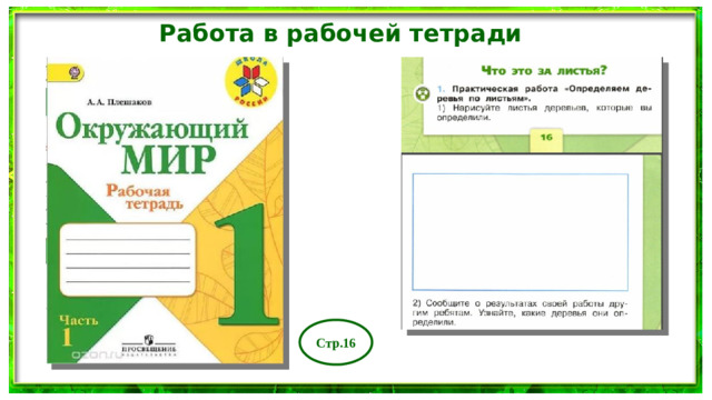 Работа в рабочей тетради Стр.16