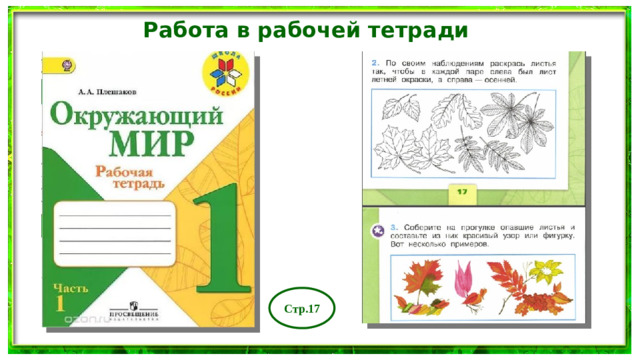 Работа в рабочей тетради Стр.17