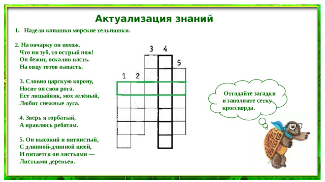 Актуализация знаний Надели коняшки морские тельняшки.  2. На овчарку он похож. Что ни зуб, то острый нож! Он бежит, оскалив пасть. На овцу готов напасть.  3. Словно царскую корону, Носит он свои рога. Ест лишайник, мох зелёный, Любит снежные луга.  4. Зверь я горбатый, А нравлюсь ребятам.  5. Он высокий и пятнистый, С длинной-длинной шеей, И питается он листьями — Листьями деревьев.  Отгадайте загадки и заполните сетку кроссворда .