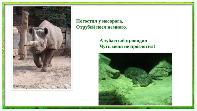 Погостил у носорога, Отрубей поел немного. А зубастый крокодил Чуть меня не проглотил!