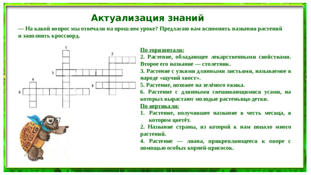 Актуализация знаний — На какой вопрос мы отвечали на прошлом уроке? Предлагаю вам вспомнить названия растений и заполнить кроссворд. По горизонтали: 2. Растение, обладающее лекарственными свойствами. Второе его название — столетник. 3. Растение с узкими длинными листьями, называемое в народе «щучий хвост». 5. Растение, похожее на зелёного ежика. 6. Растение с длинными свешивающимися усами, на которых вырастают молодые растеньица-детки. По вертикали: Растение, получившее название в честь месяца, в котором цветёт. 2. Название страны, из которой к нам попало много растений. 4. Растение — лиана, прикрепляющееся к опоре с помощью особых корней-присосок.