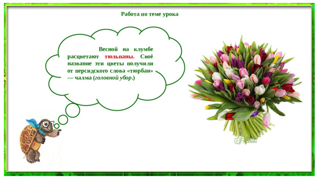 Работа по теме урока   Весной на клумбе расцветают тюльпаны. Своё название эти цветы получили от персидского слова «тюрбан» — чалма ( головной убор .)