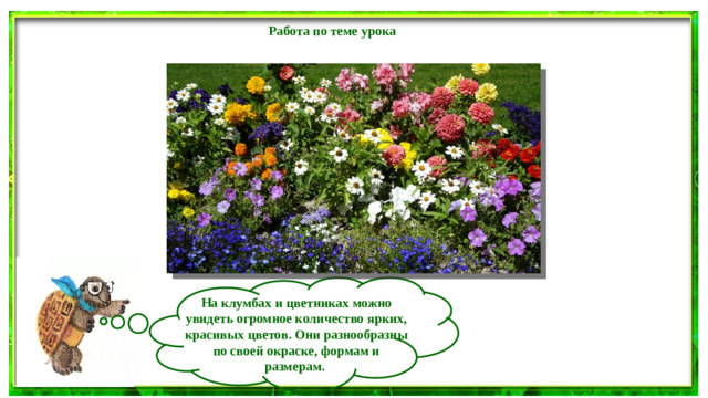 Работа по теме урока  На клумбах и цветниках можно увидеть огромное количество ярких, красивых цветов. Они разнообразны по своей окраске, формам и размерам.