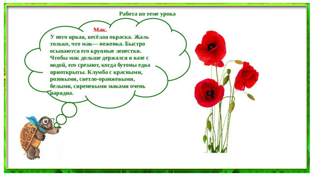 Работа по теме урока Мак. У него яркая, весёлая окраска. Жаль только, что мак— неженка. Быстро осыпаются его крупные лепестки. Чтобы мак дольше держался в вазе с водой, его срезают, когда бутоны едва приоткрыты. Клумба с красными, розовыми, светло-оранжевыми, белыми, сиреневыми маками очень нарядна.