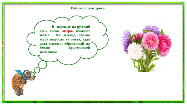 Работа по теме урока   В переводе на русский язык слово «астра» означает звёзда. По легенде, первая астра выросла на месте, куда упал осколок, оброненный на Землю пролетавшей звёздочкой