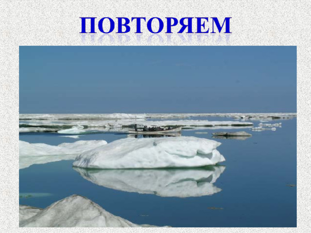 Зона арктических пустынь расположена: