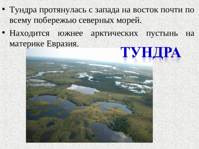 Тундра протянулась с запада на восток почти по всему побережью северных морей. Находится южнее арктических пустынь на материке Евразия.