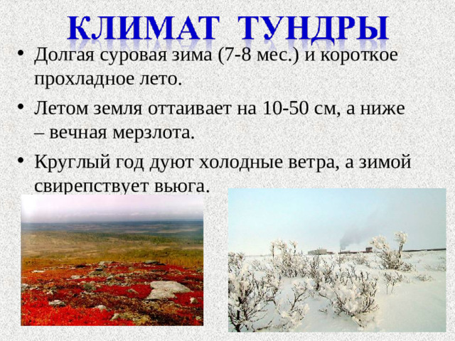 Долгая суровая зима (7-8 мес.) и короткое прохладное лето. Летом земля оттаивает на 10-50 см, а ниже – вечная мерзлота. Круглый год дуют холодные ветра, а зимой свирепствует вьюга.