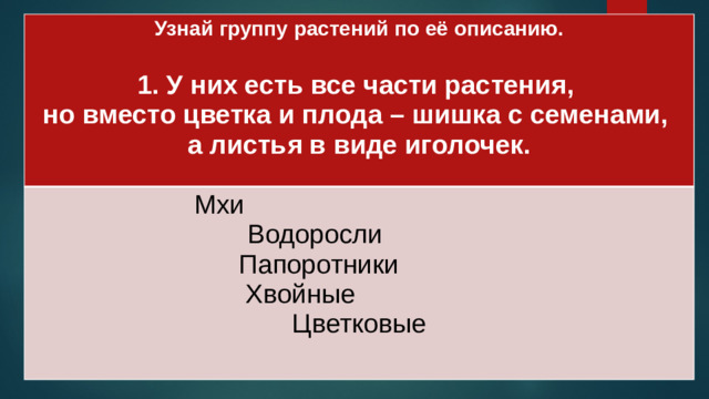 Узнай группу растений по её описанию.  Мхи 1. У них есть все части растения, Водоросли но вместо цветка и плода – шишка с семенами, Папоротники а листья в виде иголочек. Хвойные  Цветковые