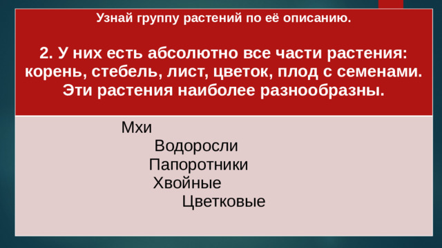 Узнай группу растений по её описанию.  Мхи 2. У них есть абсолютно все части растения: Водоросли корень, стебель, лист, цветок, плод с семенами. Эти растения наиболее разнообразны. Папоротники Хвойные Цветковые